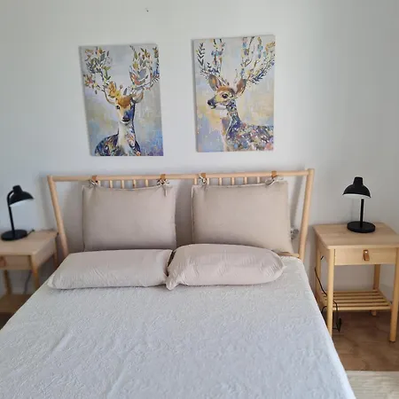 Jardines De 18 Menyber