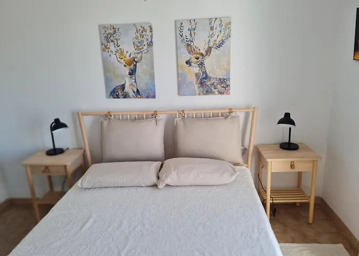 Jardines De 18 Menyber